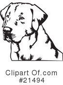Dogs Clipart #21494 by David Rey