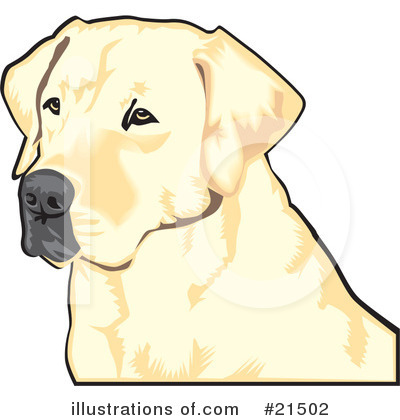 Yellow Lab Clipart #21502 by David Rey