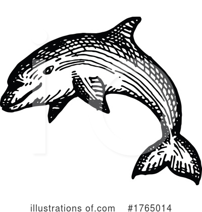Dolphin Clipart #1765014 by Vector Tradition SM
