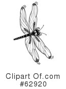 Dragonfly Clipart #62920 by LoopyLand