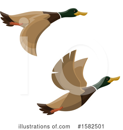 Duck Clipart #1582501 by Vector Tradition SM