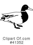 Duck Clipart #41352 by Prawny