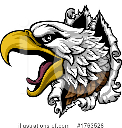 Bald Eagle Clipart #1763528 by AtStockIllustration
