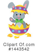 Easter Bunny Clipart #1443542 by visekart