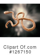 Ebola Clipart #1267150 by Mopic