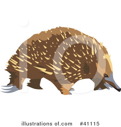 Royalty-Free (RF) Echidna Clipart Illustration by Dennis Holmes Designs - Stock Sample #41115