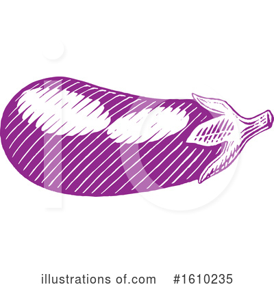 Royalty-Free (RF) Eggplant Clipart Illustration by cidepix - Stock Sample #1610235