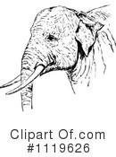 Elephant Clipart #1119626 by Prawny Vintage