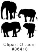 Elephant Clipart #36418 by dero