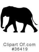 Elephant Clipart #36419 by dero