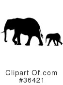 Elephant Clipart #36421 by dero