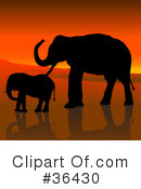 Elephant Clipart #36430 by dero
