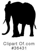 Elephant Clipart #36431 by dero