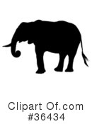 Elephant Clipart #36434 by dero