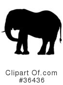 Elephant Clipart #36436 by dero