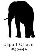 Elephant Clipart #36444 by dero