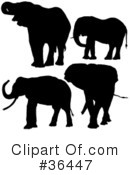 Elephant Clipart #36447 by dero