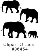 Elephant Clipart #36454 by dero