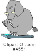 Elephant Clipart #4551 by djart