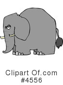 Elephant Clipart #4556 by djart
