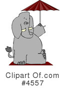 Elephant Clipart #4557 by djart