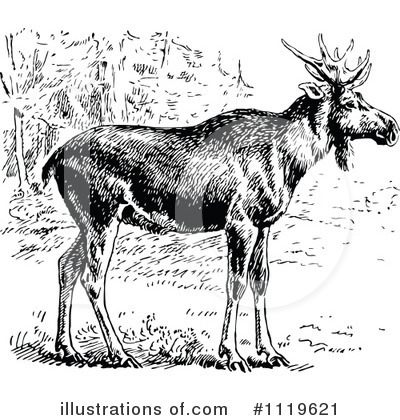 Royalty-Free (RF) Elk Clipart Illustration by Prawny Vintage - Stock Sample #1119621