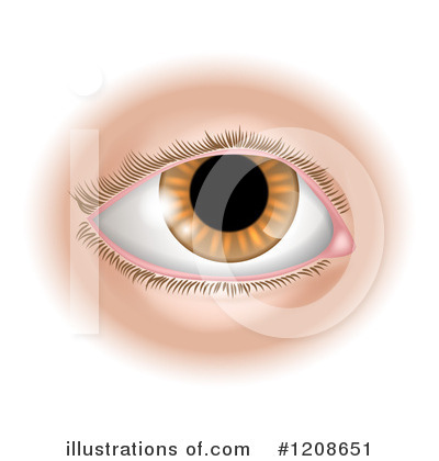 Royalty-Free (RF) Eye Clipart Illustration by AtStockIllustration - Stock Sample #1208651