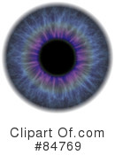 Eyeball Clipart #84769 by Arena Creative