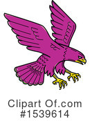 Falcon Clipart #1539614 by patrimonio