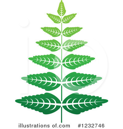 Leaf Clipart #1232746 by Vector Tradition SM