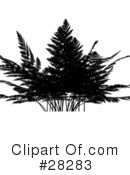 Fern Clipart #28283 by KJ Pargeter