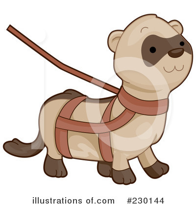 Royalty-Free (RF) Ferret Clipart Illustration by BNP Design Studio - Stock Sample #230144