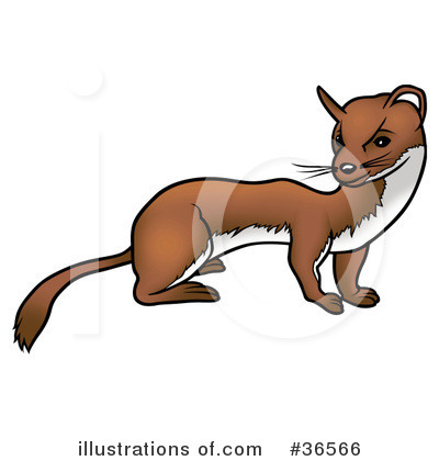Royalty-Free (RF) Ferret Clipart Illustration by dero - Stock Sample #36566