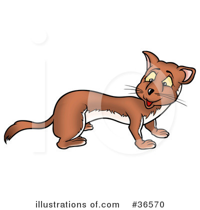 Royalty-Free (RF) Ferret Clipart Illustration by dero - Stock Sample #36570