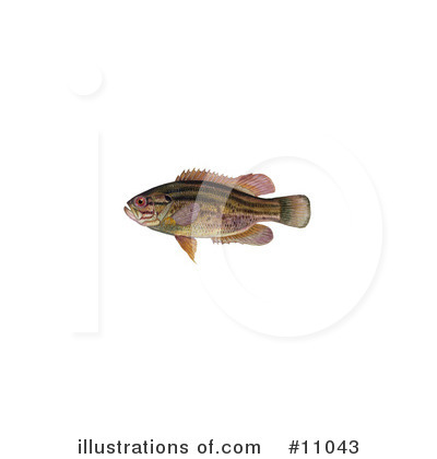 Royalty-Free (RF) Fish Clipart Illustration by JVPD - Stock Sample #11043