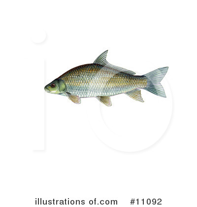 Royalty-Free (RF) Fish Clipart Illustration by JVPD - Stock Sample #11092