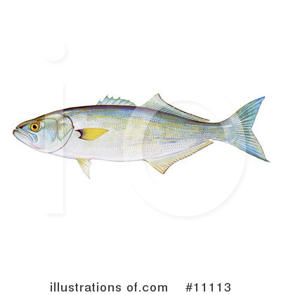 Royalty-Free (RF) Fish Clipart Illustration by JVPD - Stock Sample #11113