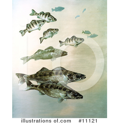 Royalty-Free (RF) Fish Clipart Illustration by JVPD - Stock Sample #11121