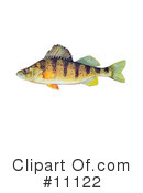 Fish Clipart #11122 by JVPD