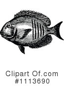 Fish Clipart #1113690 by Prawny Vintage