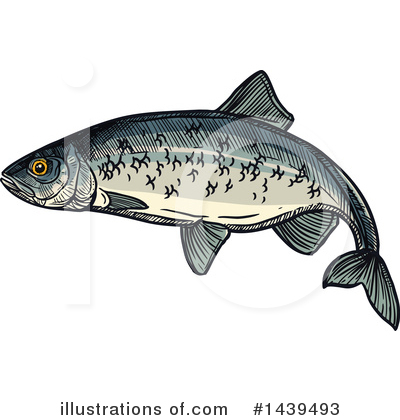 Royalty-Free (RF) Fish Clipart Illustration by Vector Tradition SM - Stock Sample #1439493