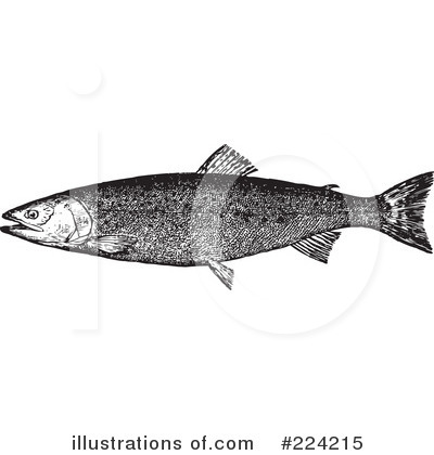 Royalty-Free (RF) Fish Clipart Illustration by BestVector - Stock Sample #224215