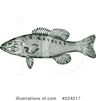 Royalty-Free (RF) Fish Clipart Illustration by BestVector - Stock Sample #224217