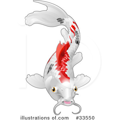 Koi Fish Clipart #33550 by AtStockIllustration