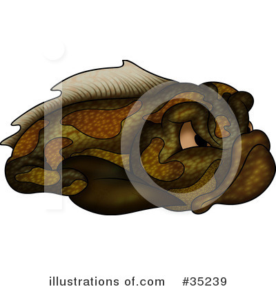 Fish Clipart #35239 by dero