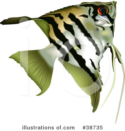 Angelfish Clipart #38735 by dero