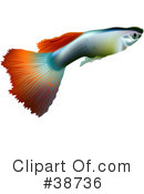 Fish Clipart #38736 by dero