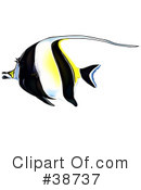 Fish Clipart #38737 by dero