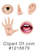 Five Senses Clipart #1216679 by AtStockIllustration