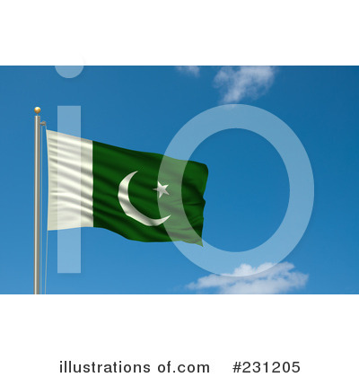 Pakistan Flag Clipart #231205 by stockillustrations